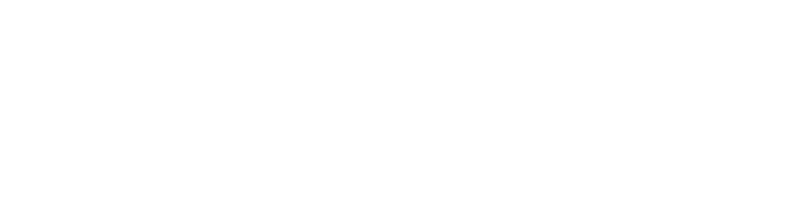 Shane Wilson Real Estate